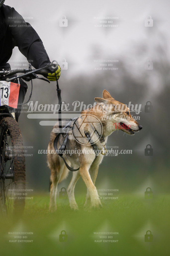 MompixPhotography_CDF2023_FFST_Di_Bike1-141 | PayLife