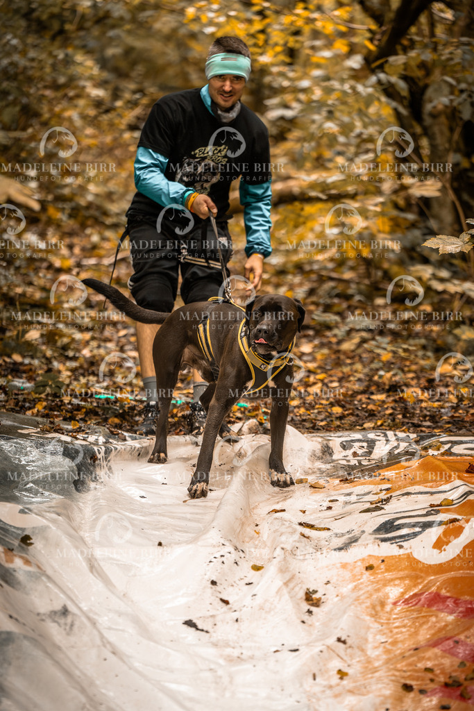 madeleinebirr-fotografie2025.campcanis.sa.8-9Uhr-118 | hundefotografie-birr