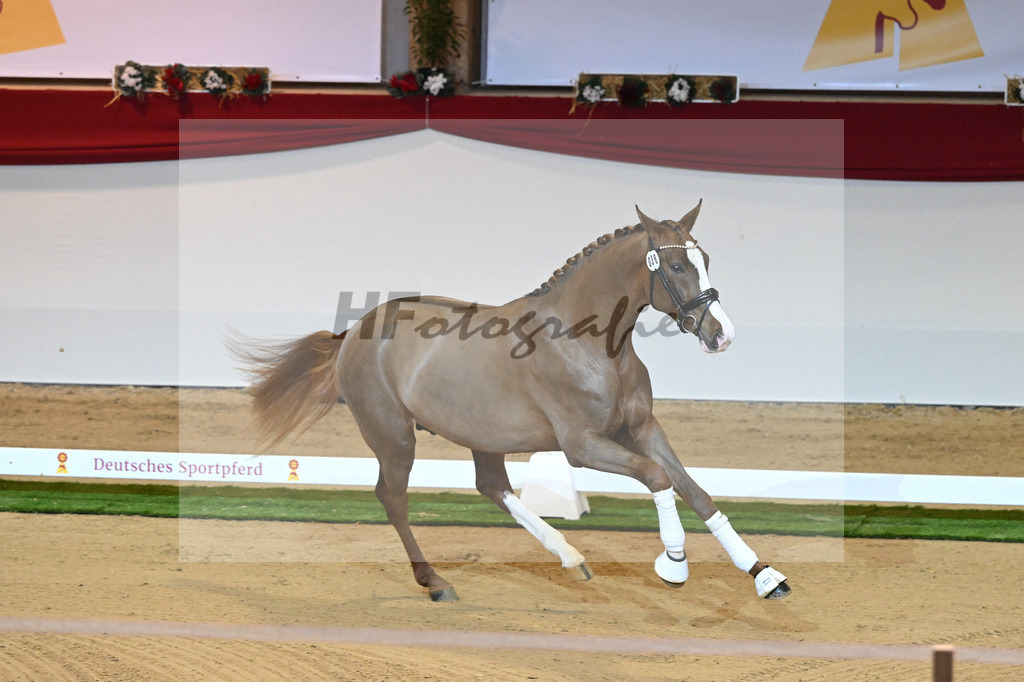 Kat-Nr. 38 Benicio_Wille_1230030 | hf-fotografie - Realizzato con Pictrs.com