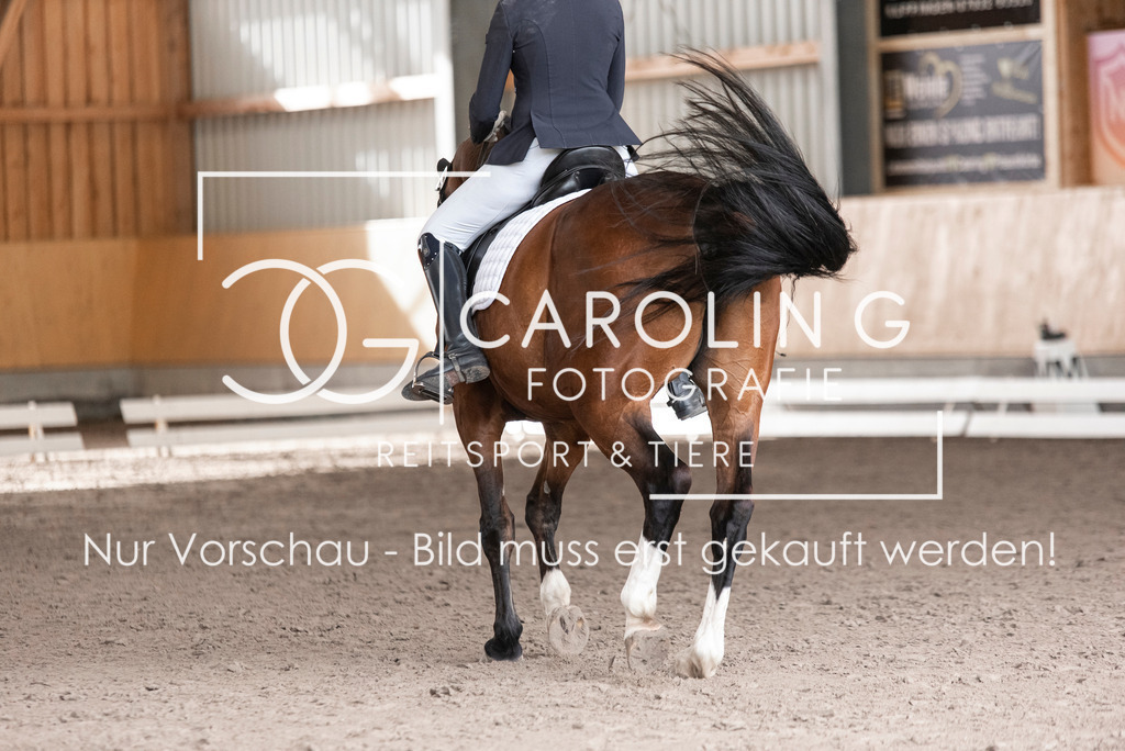 DSC_4497 | Turnierfotografin Carolin Gieschke, Turnierfotografie Carolin G Fotografie, Turnierfotos Kirchheim/Teck, Esslingen, Stuttgart, Bodenseekreis