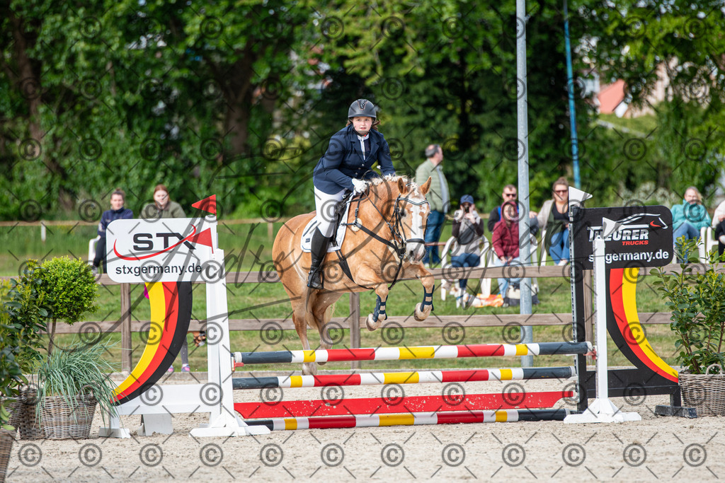 KPT_6687 | andre_photographic