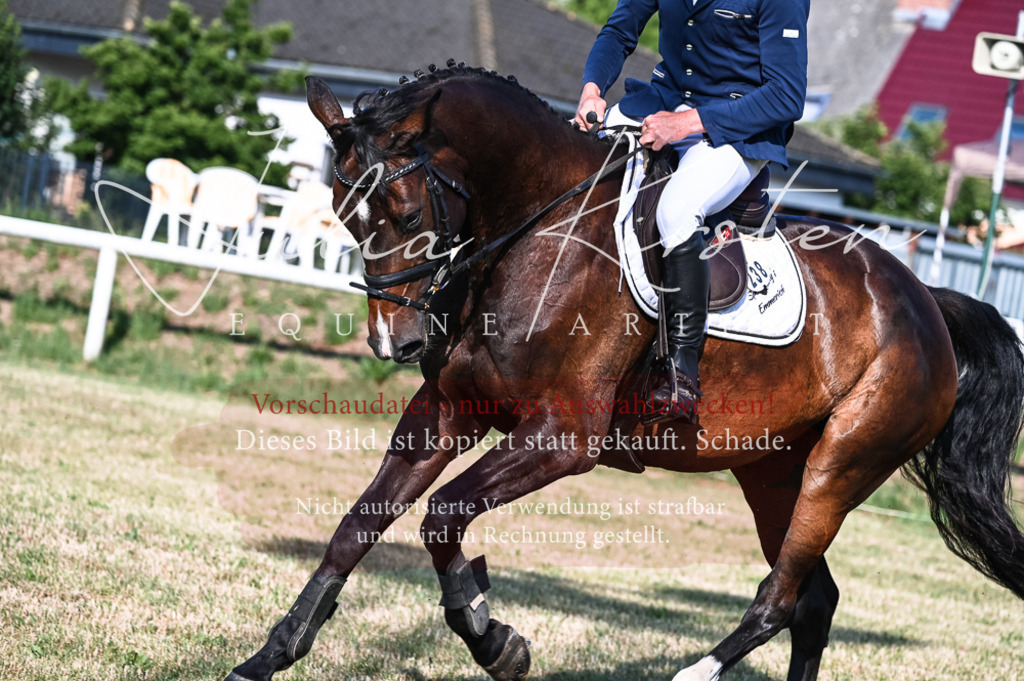 DSC_7452 | Pferde- und Turnierfotografie in Westsachsen. Pferdeportraits, Auftragszeichnungen und intuitive Kunst.