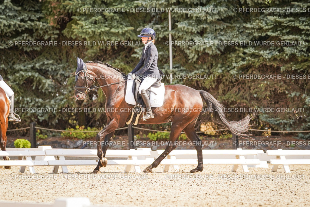 DSC00747 | Pferdegrafie