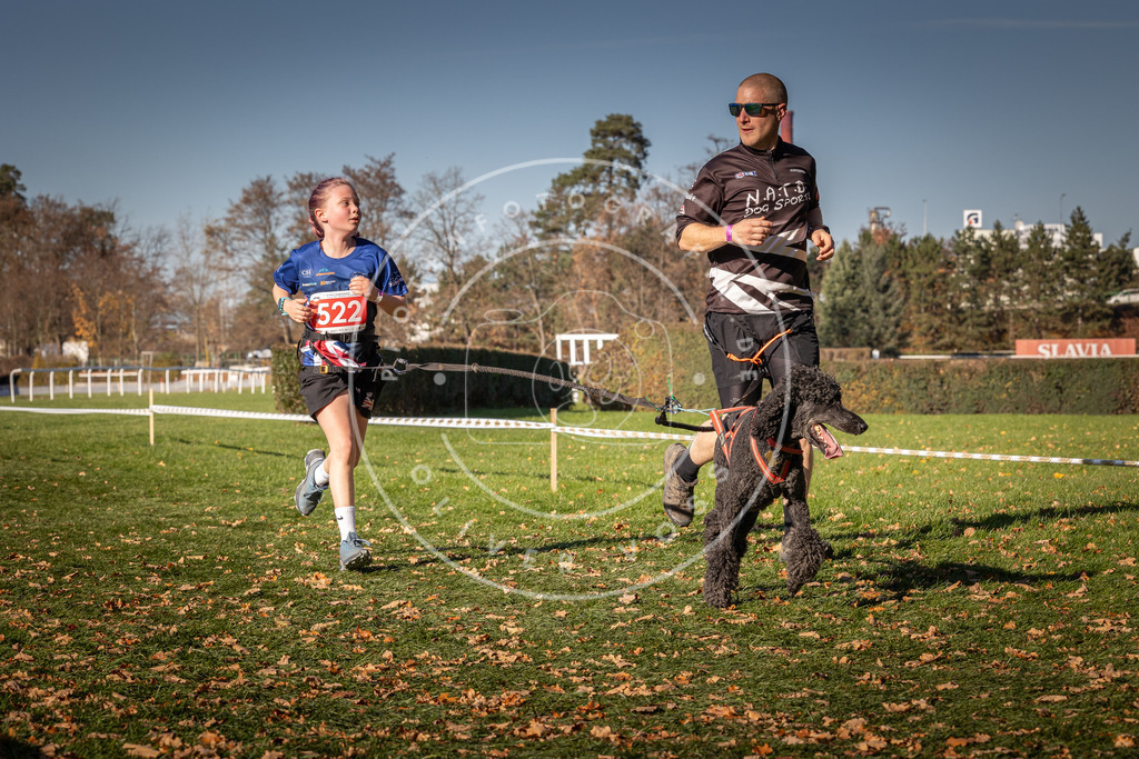 CaniXpix_0L8A7195 | Hundefotografie, Tierfotograf, Pfotenfotografie, Fotoshooting Hund, Hunde Portrait, Hundesport, Hundeportraits, Heideshooting, Hunde, Sportfotograf, Hundefotograf, Turnierhundsport, THS,  - Realisiert mit Pictrs.com