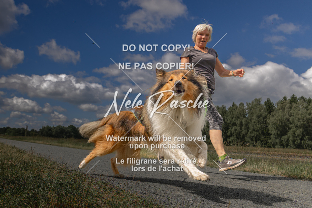 nelerasche_BuHu2026_SaCC1100-1200_10 | nelerasche