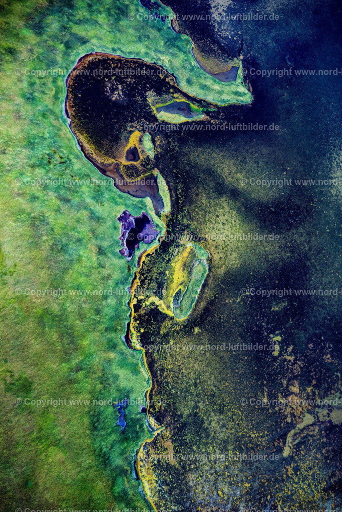 Sylt_Rantum_Rantumbecken_Salzwiesen_ELS_97613130825 | SYLT 13.08.2025 Grasflächen- Strukturen einer Feld- und Wiesen- Landschaft " Rantumbecken " in Sylt Nordsee - Insel im Bundesland Schleswig-Holstein, Deutschland. // Grass area structures of a salt marsh landscape " Rantumbecken " in Sylt North Sea Island in the state Schleswig-Holstein, Germany. Foto: Martin Elsen