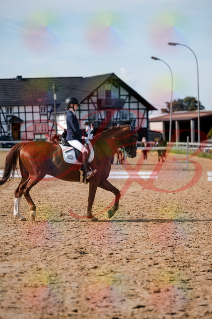 2026_10_03_Siefer-Hof_132844_Z63_89921249 | Professionelle Reitsport-, Turnier- und Eventfotografie von Robert Broda. Galerien mit ausgewählten und bearbeiteten Bildern direkt online ansehen und bestellen.
