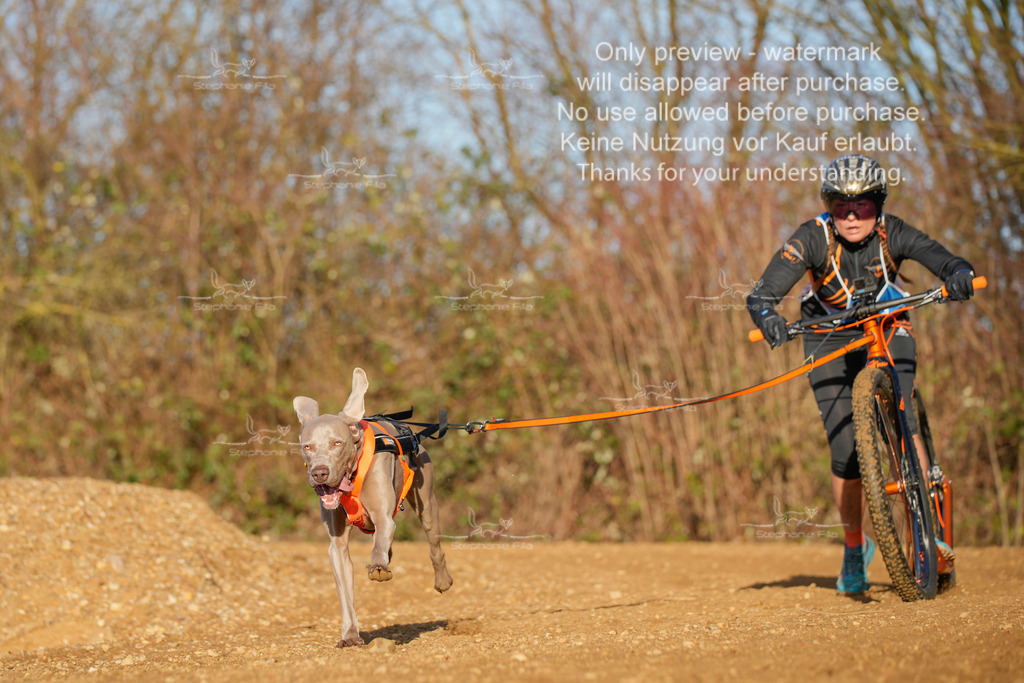 So_DVGBSP2025_Scooter (51 von 286) | stephaniefillaphotographie - Realisiert mit Pictrs.com