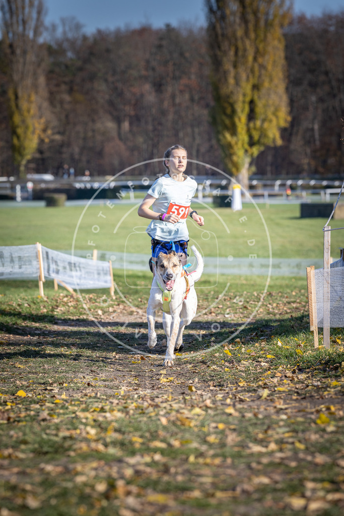 CaniXpix_DV3A9436 | Hundefotografie, Tierfotograf, Pfotenfotografie, Fotoshooting Hund, Hunde Portrait, Hundesport, Hundeportraits, Heideshooting, Hunde, Sportfotograf, Hundefotograf, Turnierhundsport, THS,  - Realisiert mit Pictrs.com