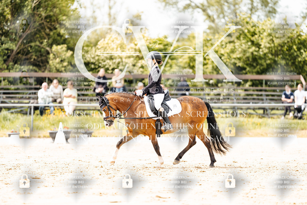 CK902307 | Turnierfotografie Pferdefotografie Trier Rheinland-Pfalz Pferdesport Reitsport Tierfotografie Sportfotografie Pferdevideo Pferdevideografie Equestrianvideography equestrianphotography  - Realisiert mit Pictrs.com