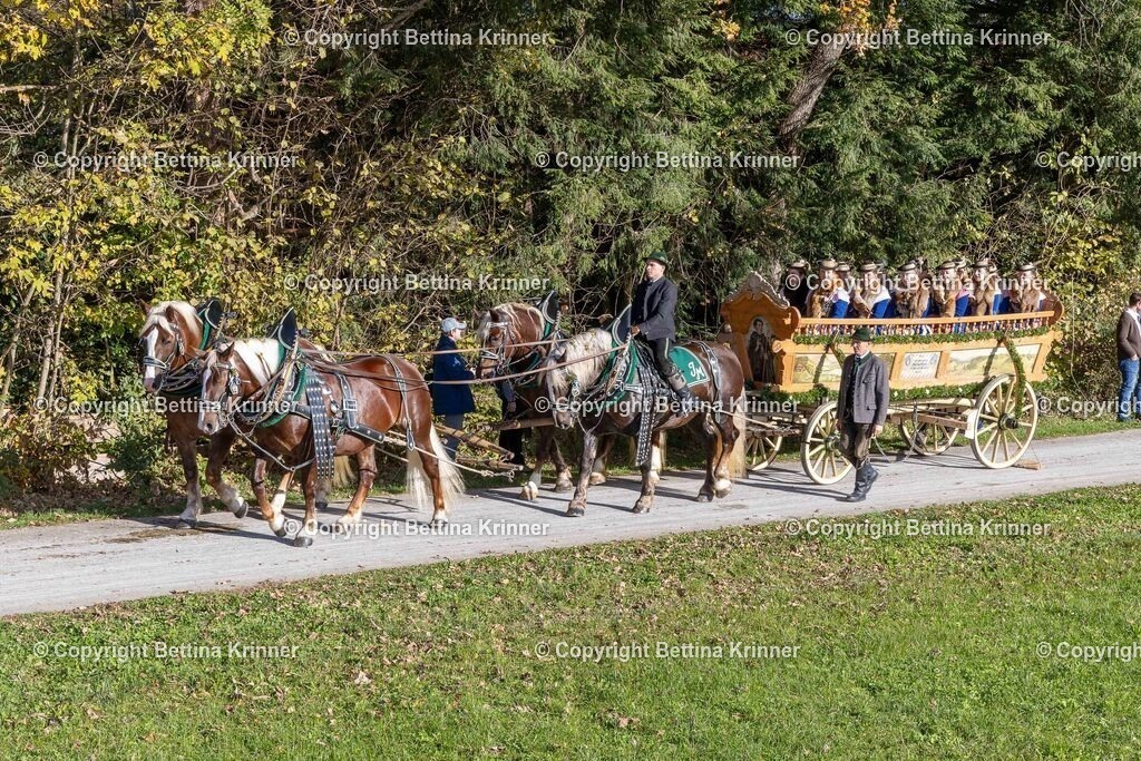 LBT24-926 | foto-bettina-krinner - Realisiert mit Pictrs.com