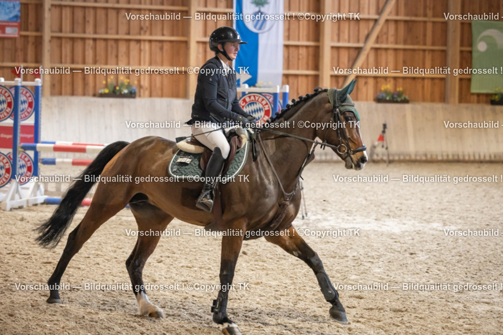 _D5A7535 | Emotionale Pferde- & People-Fotografie rund um Heidelberg, Leimen & Umgebung. Natürliche Fotos von Pferd, Mensch & Familie. Jetzt Termin sichern!