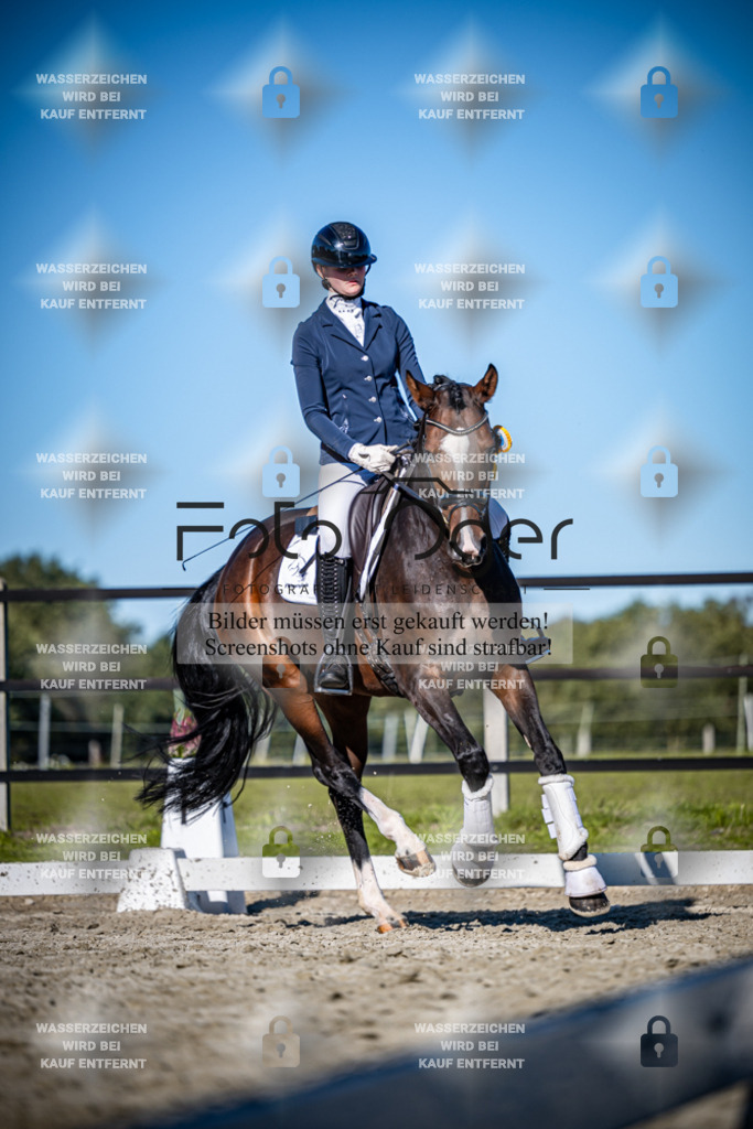 2026-09-Lohne-11-0027 | Entdecke hochwertige Reitturnierfotos von Foto Oger. Professionell, emotional und authentisch – jetzt Lieblingsmomente im Shop bestellen.Deutschlandweite Turnierfotografie. - Realisiert mit Pictrs.com
