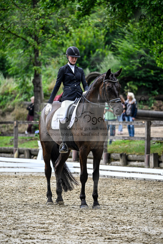 Bissendorfer Reitertage | Entdecke hochwertige Reitturnierfotos von Foto Oger. Professionell, emotional und authentisch – jetzt Lieblingsmomente im Shop bestellen. - Realisiert mit Pictrs.com