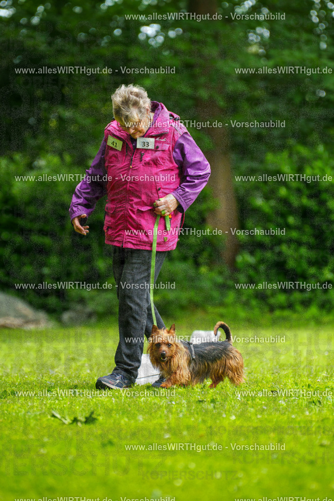 @allesWIRTHgut_Tierfotografie - www.allesWIRTHgut.de - 130630-7R509771 | Professionelle Tierfotografie in Mönchengladbach von Daniel Wirth (allesWIRTHgut). Liebevolle & natürliche Bilder von Hunden & Katzen für unvergessliche Erinnerungen.