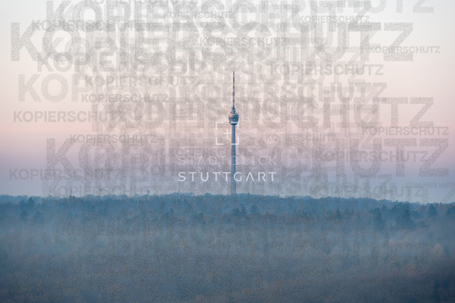 _DSC3615 | "Entdecken Sie atemberaubende Bilder von Stuttgart im Fotowerk Stuttgart! Kaufen Sie hochwertige Fotos auf Leinwand oder laden Sie digitale Downloads für Ihre Wohnung oder Büros herunter.  - Realisiert mit Pictrs.com