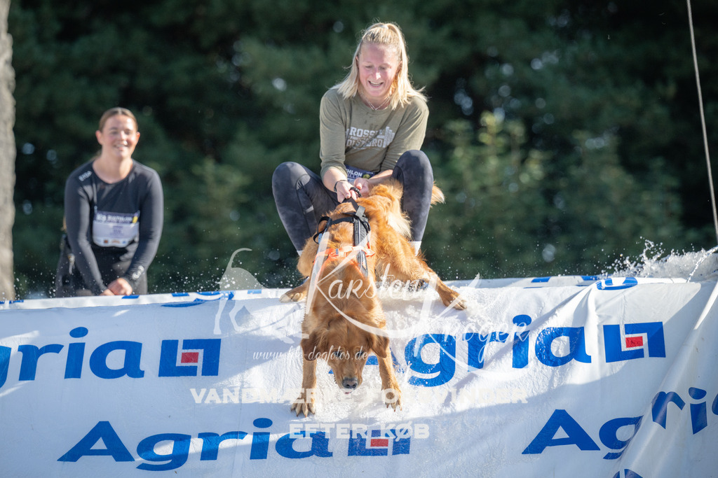 0929_ZZ95906 | kk-dogfotos