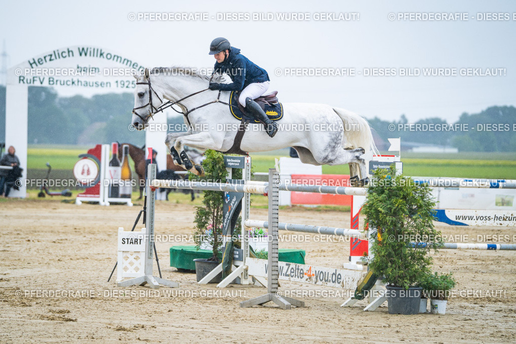 DSC09988 | Pferdegrafie