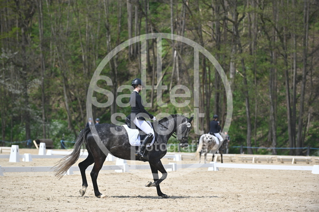 DSC_2238 | sattelsport - Realisiert mit Pictrs.com