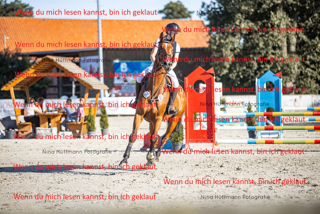 BK1A7600 | Turnierbilder Turnierfotos Nina Hüffmann Turnierfotografie Pferdefotografie Tierzeichnung Haustierzeichnung Pferdezeichnung Hundezeichnung Videograf  - Realisiert mit Pictrs.com