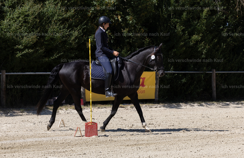 WE_Trail_144_KerstinBernhardt-2 | working equitationturnier fotograf videograf stoibphotography marixx film working equitation deutschland reitsport turnierfotografie eventfotografie equestrian events