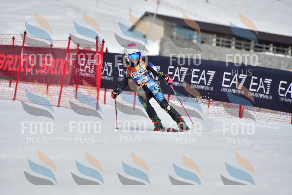 _DSC6778 | holidayphoto