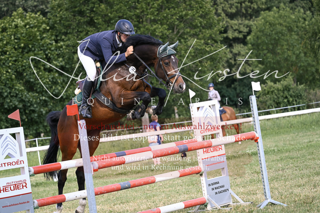 DSC_1406 | Pferde- und Turnierfotografie in Westsachsen. Pferdeportraits, Auftragszeichnungen und intuitive Kunst.