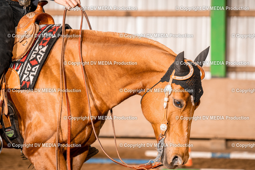 BA400075 | dv-media-shop - Realisiert mit Pictrs.com