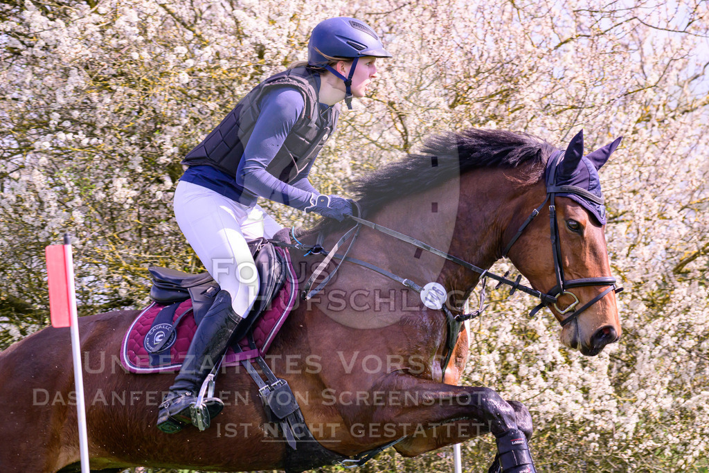 18042026-Gernlinden-04-1-0224 | Fokus Hufschlag Fotografie - Realisiert mit Pictrs.com
