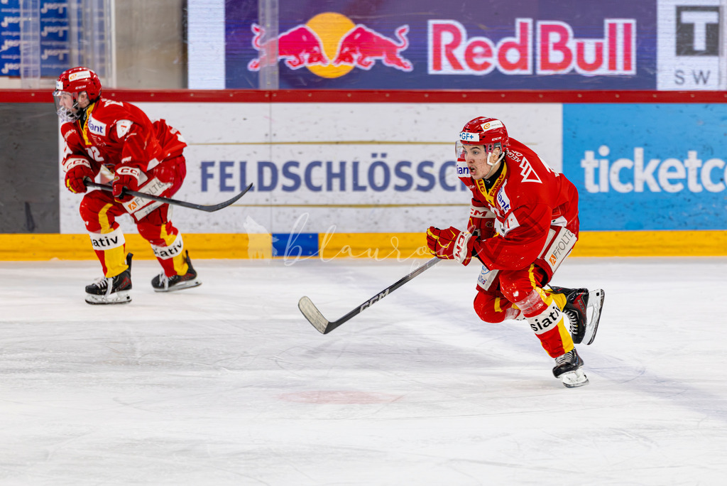 EHCB vs GCK _1-986621440 | Sportbilder, Sportfotograf, Hochzeits- und Eventfotografin, Flugshows, Portraits und Tiershooting, Aviation, Downhill, Nationalleague, Swissleague, International