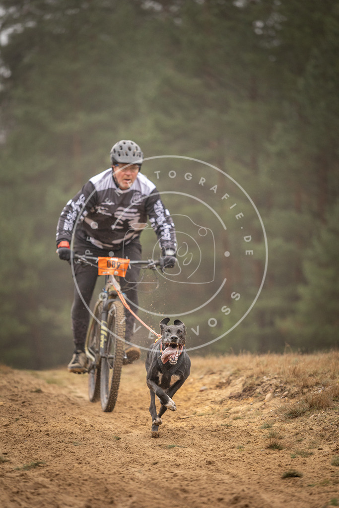 Pfotenfotografie_DV3A2925 | Hundefotografie, Tierfotograf, Pfotenfotografie, Fotoshooting Hund, Hunde Portrait, Hundesport, Hundeportraits, Heideshooting, Hunde, Sportfotograf, Hundefotograf, Turnierhundsport, THS,  - Realisiert mit Pictrs.com