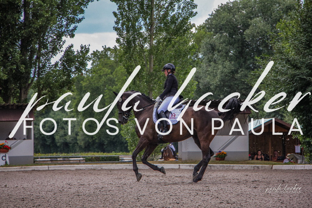 IMG_8833 | Erleben Sie dynamische Sport- und emotionale Tierfotografie in Süddeutschland mit Fotos von Paula. Spezialisiert auf Pferde- und Hundefotografie sowie Sportevents. Kontaktieren Sie mich für einzigartige und ausdrucksstarke Bilder Ihrer besonderen Momente. - Realisiert mit Pictrs.com