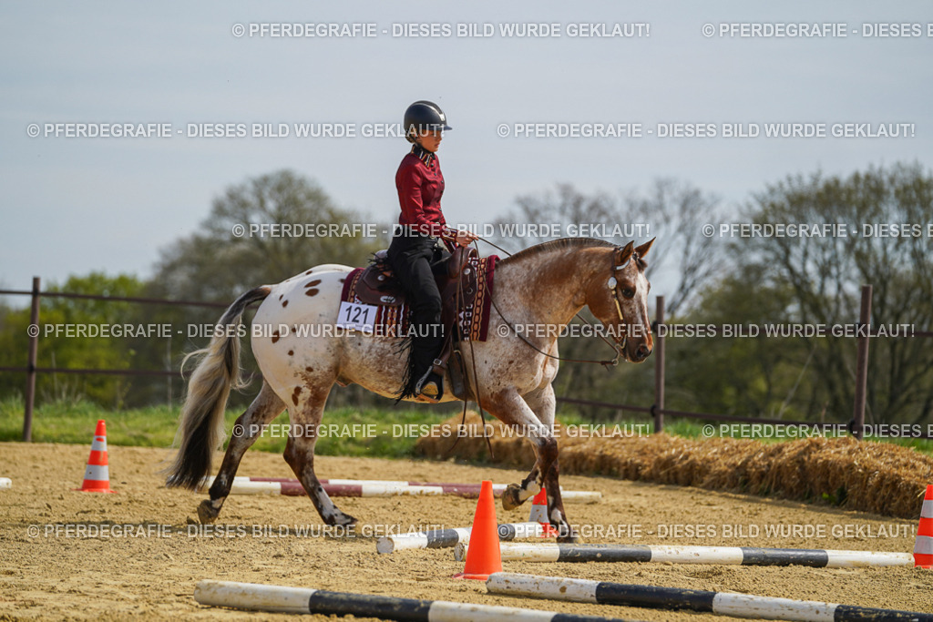 DSC04403 | Pferdegrafie