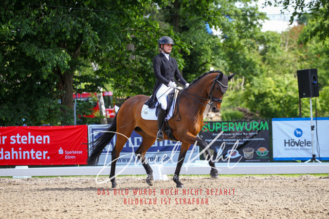 DKP41387 | Turnierfotos kaufen im Webshop von Daniel Kuhl Photography – entdecke professionelle Reitsportfotos aus Turnieren & Events. Hochwertige Turnierbilder online bestellen & sichern. Jetzt Fotos von Reitsportturnieren kaufen!