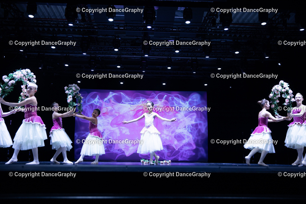 GPHY4795 | DanceGraphy - Realisiert mit Pictrs.com