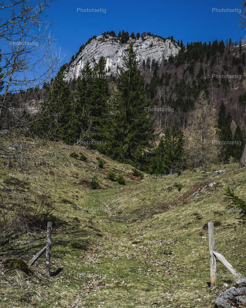 4A3509D3-780B-42DF-8DB0-2B9349A9C8C3 | phototaetig