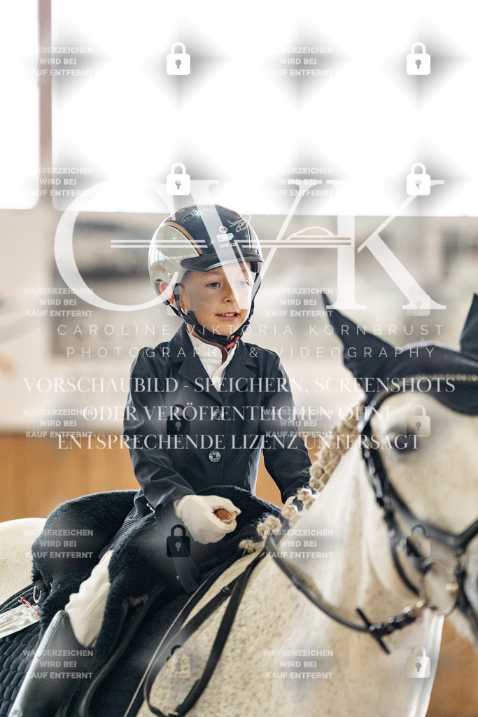 CK902300 | Turnierfotografie Pferdefotografie Trier Rheinland-Pfalz Pferdesport Reitsport Tierfotografie Sportfotografie Pferdevideo Pferdevideografie Equestrianvideography equestrianphotography  - Realized with Pictrs.com