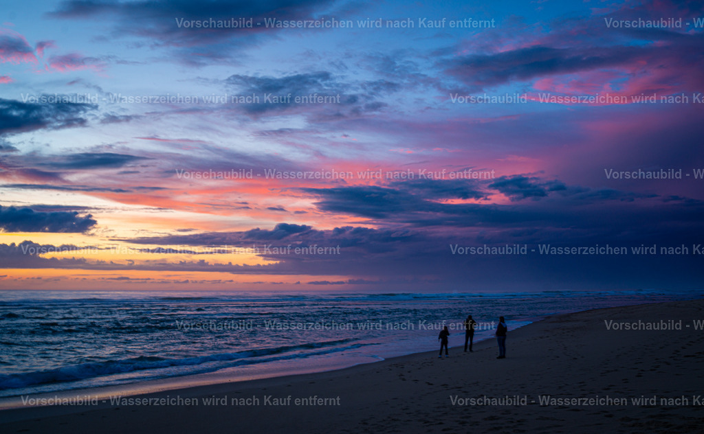 DSC01570 | marcuslinek