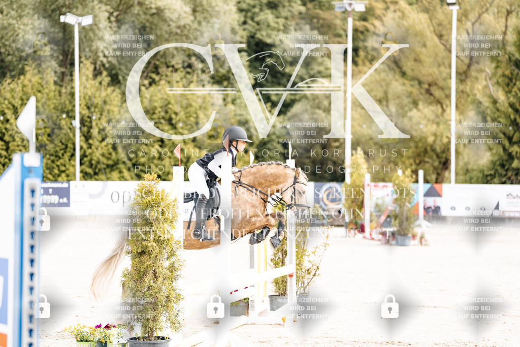 CK906222 | Turnierfotografie Pferdefotografie Trier Rheinland-Pfalz Pferdesport Reitsport Tierfotografie Sportfotografie Pferdevideo Pferdevideografie Equestrianvideography equestrianphotography  - Realisiert mit Pictrs.com