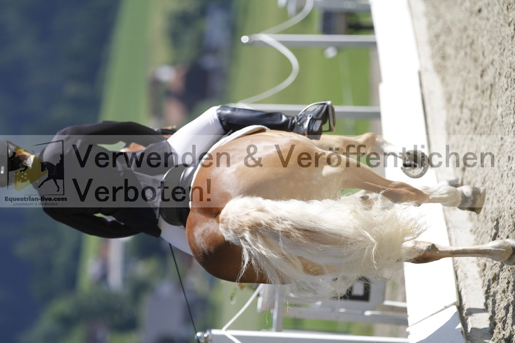 _MG_6241 | equestrian-live-com