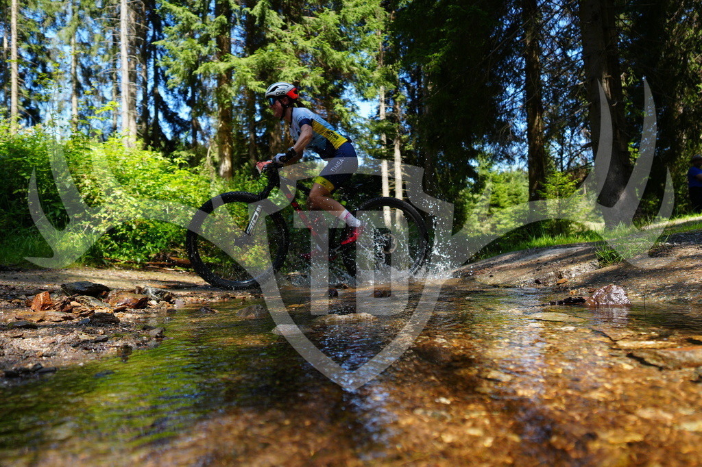 FC605516 | Fotogalerie der Treibjagd im Dunkelwald - Dein MTB Etappenrennen im Erzgebirge - Realisiert mit Pictrs.com