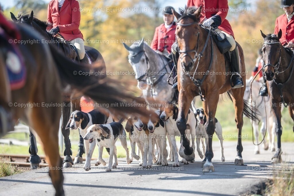20251011_Jagd-Marbach_0464 | Foto: Thomas Hartig