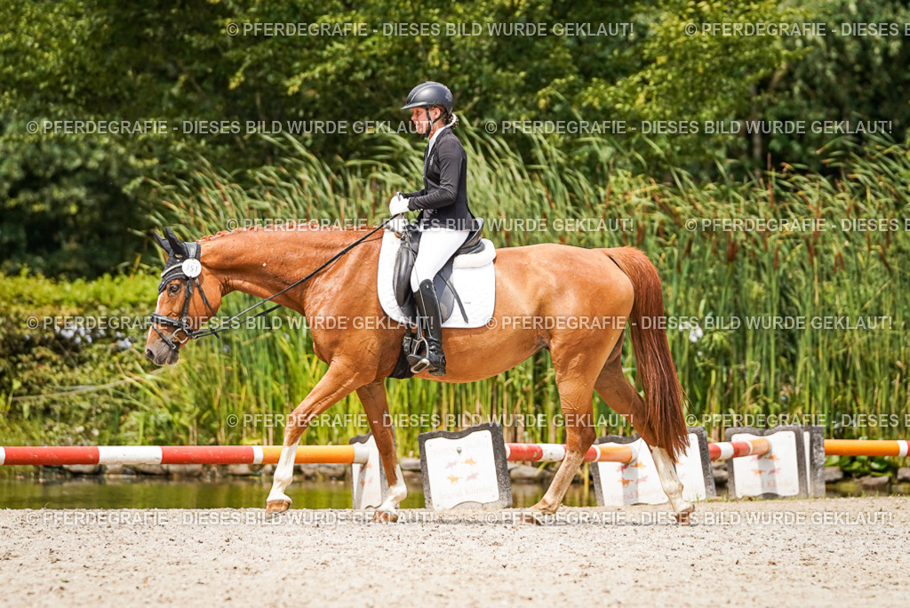 DSC04042 | Pferdegrafie