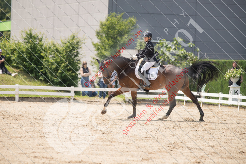 IMG_4650 | Sport-, Event- und Tierfotos in Profiqualität. Einfach auswählen, bestellen und herunterladen. Dein Moment – perfekt festgehalten.