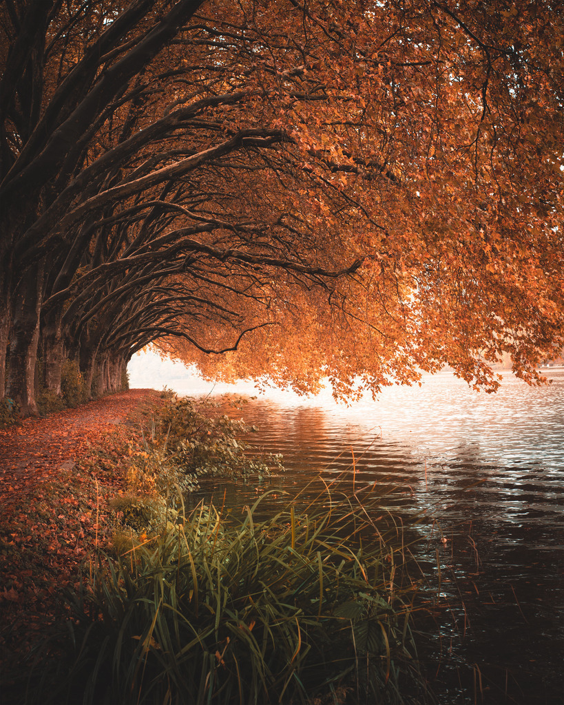 Herbst | Hier jetzt die schönsten Landschaft,Wetter und Tier als Wandbilder und vieles mehr zum günstigen preis bestellen, Der Fotograf aus Heiligenhaus - Realisiert mit Pictrs.com