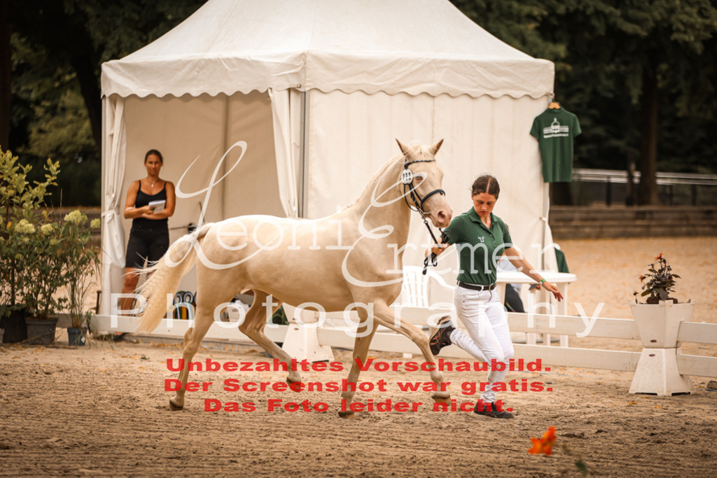 12.So00074 | Leoni Ertmer Photography - Realisiert mit Pictrs.com