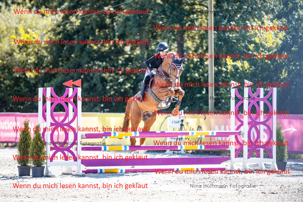 BK1A5524 | Turnierbilder Turnierfotos Nina Hüffmann Turnierfotografie Pferdefotografie Tierzeichnung Haustierzeichnung Pferdezeichnung Hundezeichnung Videograf  - Realisiert mit Pictrs.com