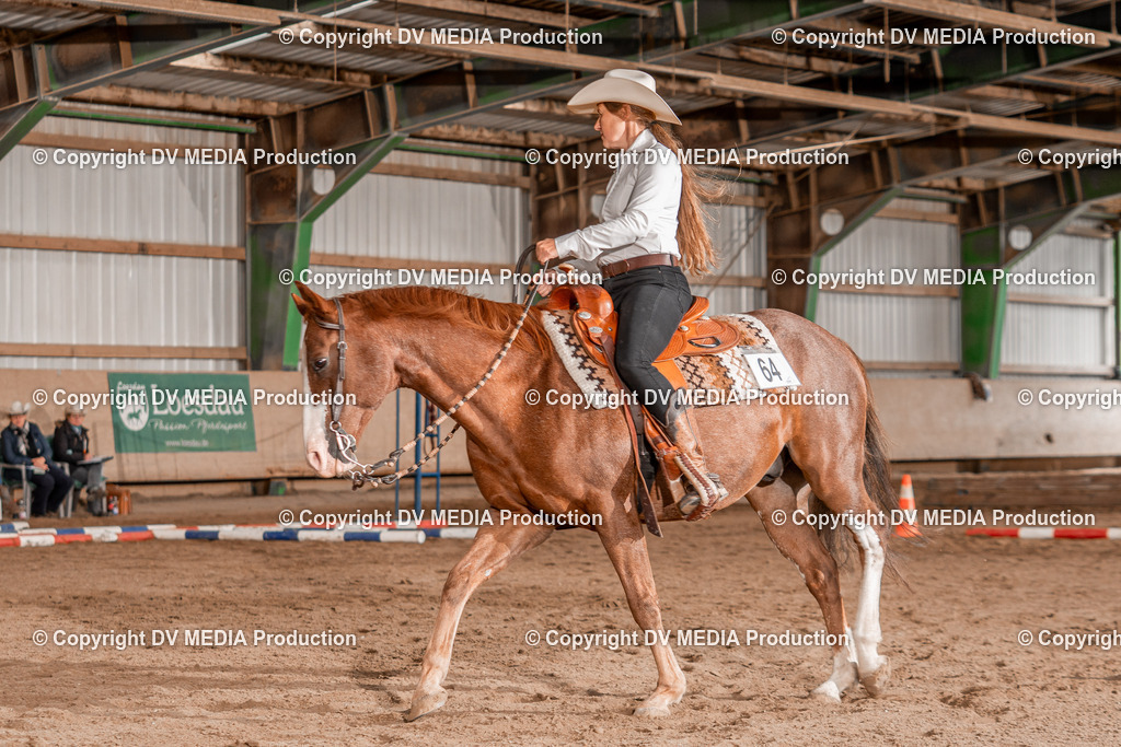 Balingen Tag 3-736 | dv-media-shop - Realisiert mit Pictrs.com