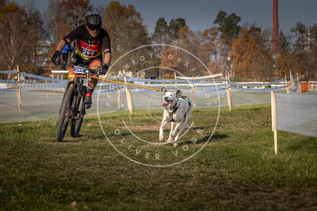 CaniXpix_0L8A7614 | Hundefotografie, Tierfotograf, Pfotenfotografie, Fotoshooting Hund, Hunde Portrait, Hundesport, Hundeportraits, Heideshooting, Hunde, Sportfotograf, Hundefotograf, Turnierhundsport, THS,  - Realisiert mit Pictrs.com