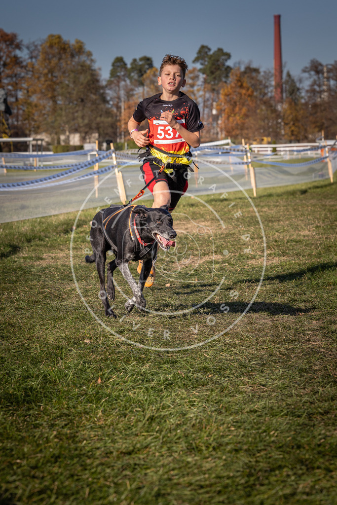 CaniXpix_0L8A7463 | Hundefotografie, Tierfotograf, Pfotenfotografie, Fotoshooting Hund, Hunde Portrait, Hundesport, Hundeportraits, Heideshooting, Hunde, Sportfotograf, Hundefotograf, Turnierhundsport, THS,  - Realisiert mit Pictrs.com